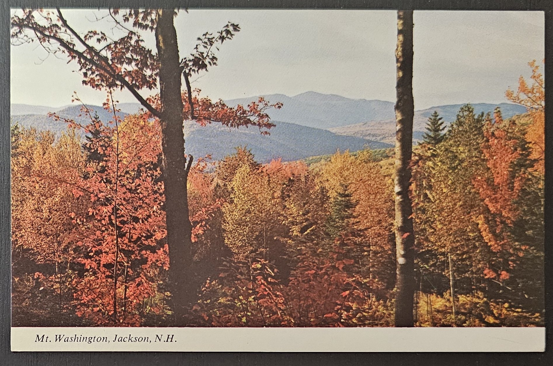 (image for) postcard USA - NH - New Hampshire #0010